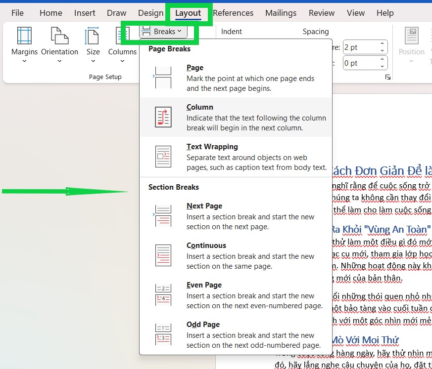 how to use Section Break in Word 